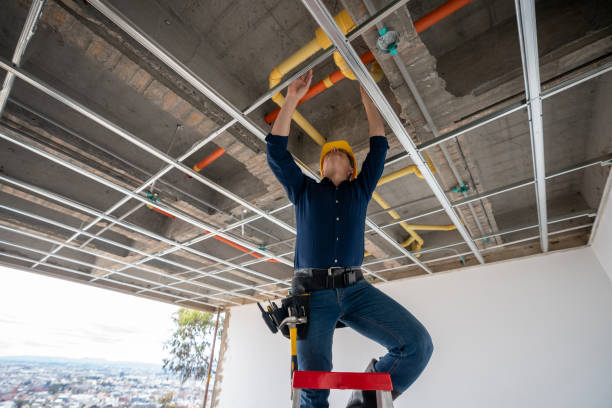 Best Plumbing Inspection Services  in Wendell, NC